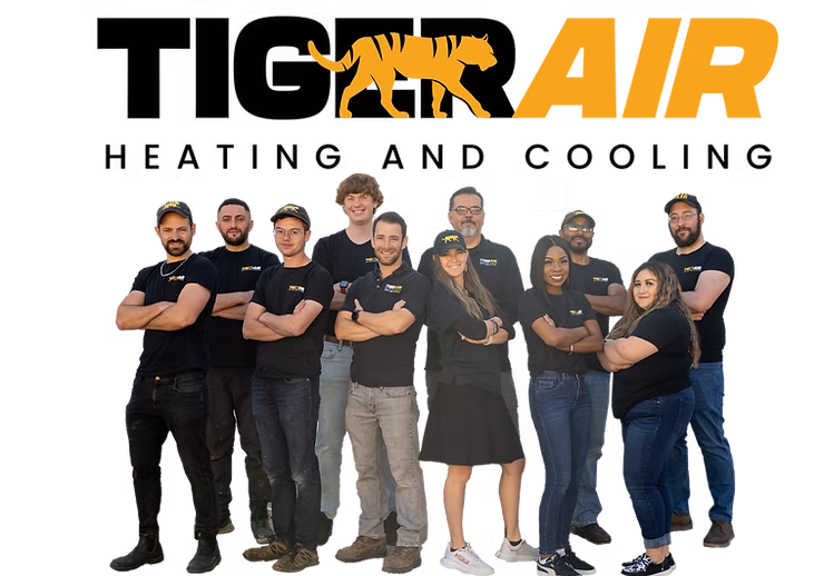 Meet the Tiger Air team